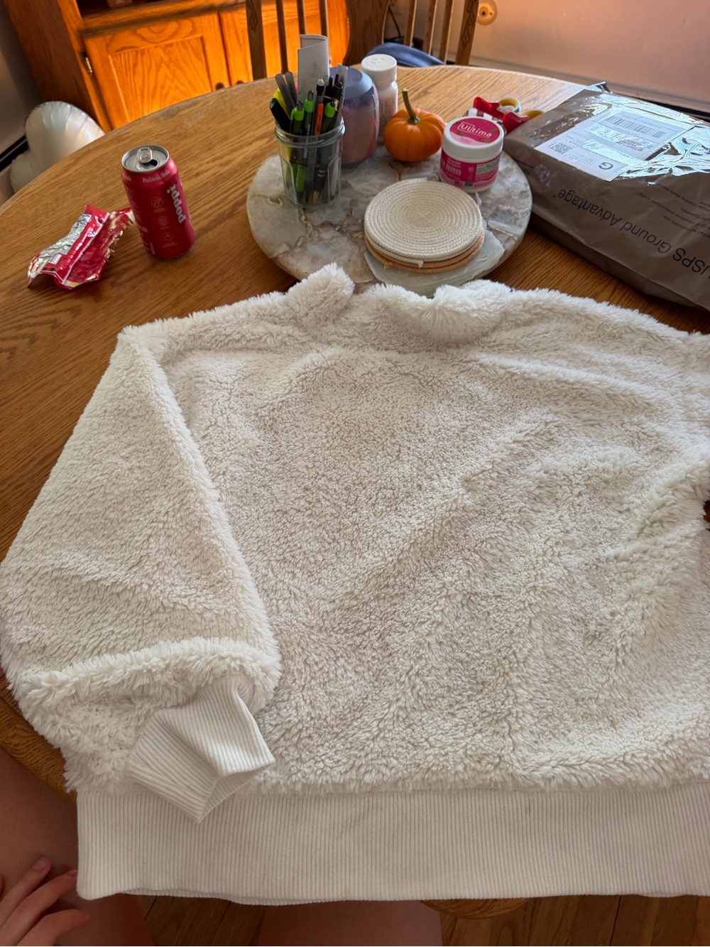 GAP Plush Crewneck Sweater in Cream